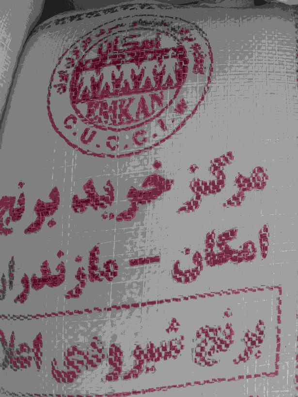 برنج شیرودی